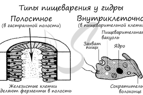 Кракен сайт в тор браузере