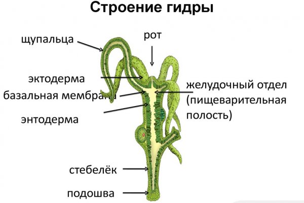 Сайт кракен тор браузера