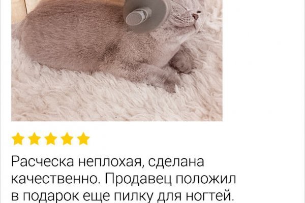 Где купить наркоты